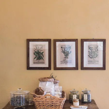 Farm stay Bioagriturismo Il Cerreto *